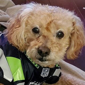 Meet your Posher, Gina